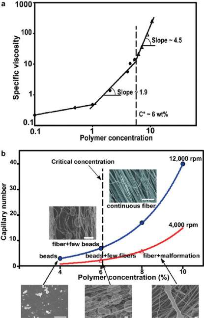 DOI: 10.