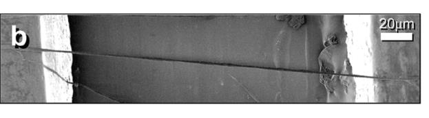 Příklady nanogenerátorů Nanogenerátor s jedním vláknem Tento nanogenerátor lze použít pro demonstraci hodnot generovaných jedním Obrázek 18: