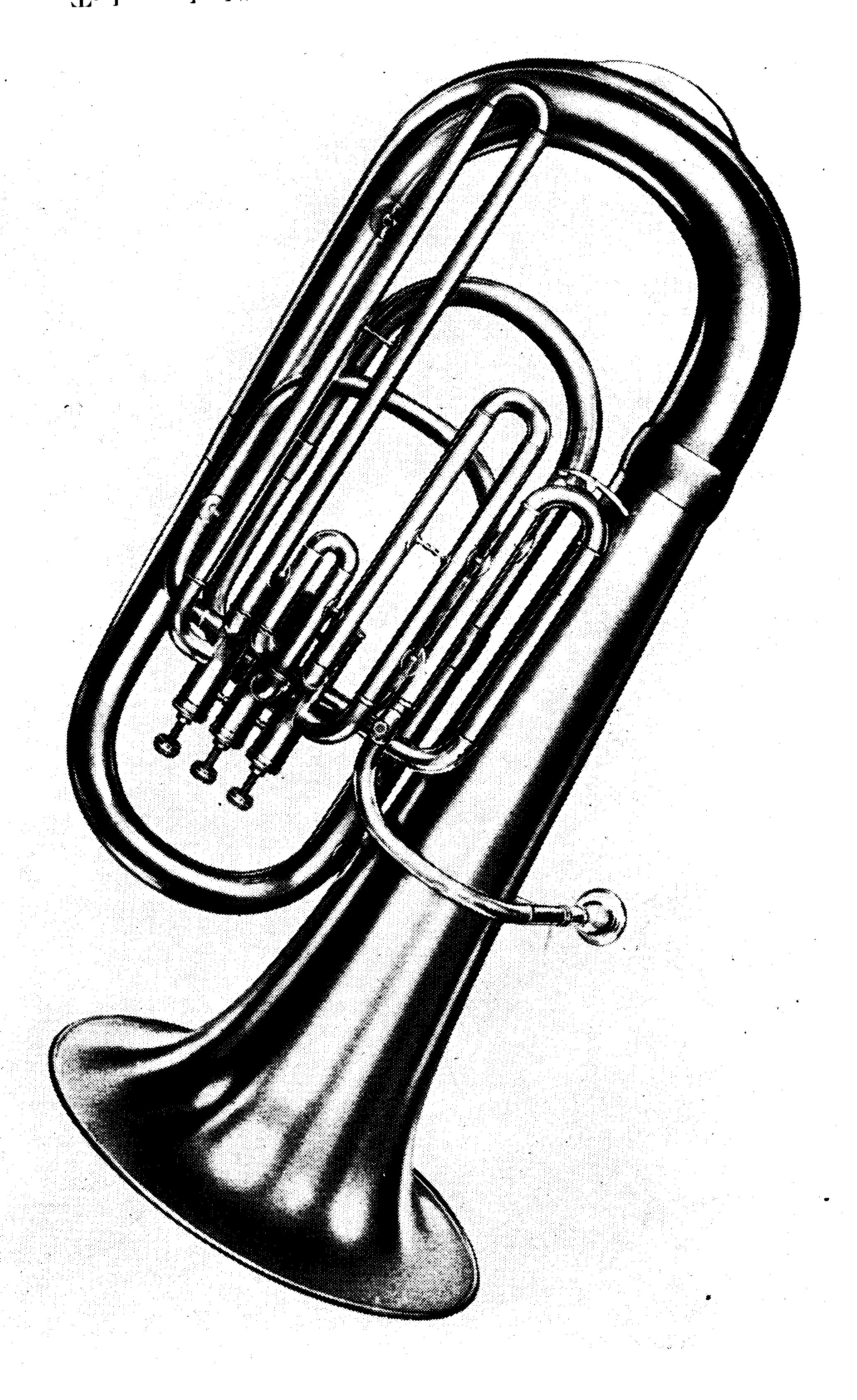 87 Obr. 4.9. Tuba ( převzato z [7] ) 3.4.9. Hudební nástroje s kovovými jazýčky Mezi hudební nástroje s kovovými jazýčky patří jednak jazýčkové varhanní píšťaly a dále harmonium, akordeon a foukací harmonika.
