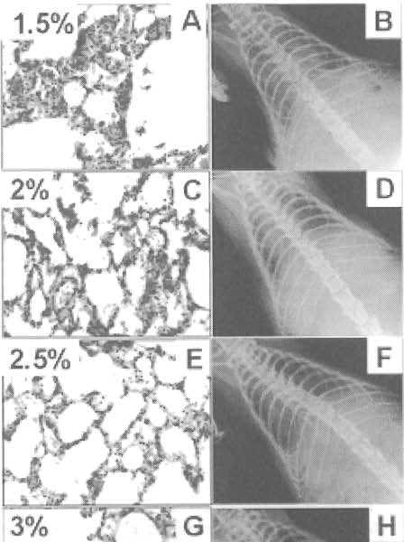 ŠEDÝ ET AL. FIG. 3. eurogenic pulmonary edema in groups anestheti.zed with \.5%, 2%, 2.5%, or 3% isoflurane.