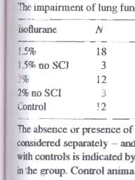 1 Šed.';' el al. / Nt'uroscienct' Lel/U.