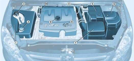 138 PRAKTICKÉ INFORMACE NAFTOVÝ MOTOR PŘEPLŇOVANÝ TURBODMYCHADLEM 2 LITRY HDI (90 k / 110 k) 1 - Nádržka posilovače řízení. 4 - Nádržka brzdové kapaliny. 8 - Měrka motorového oleje.