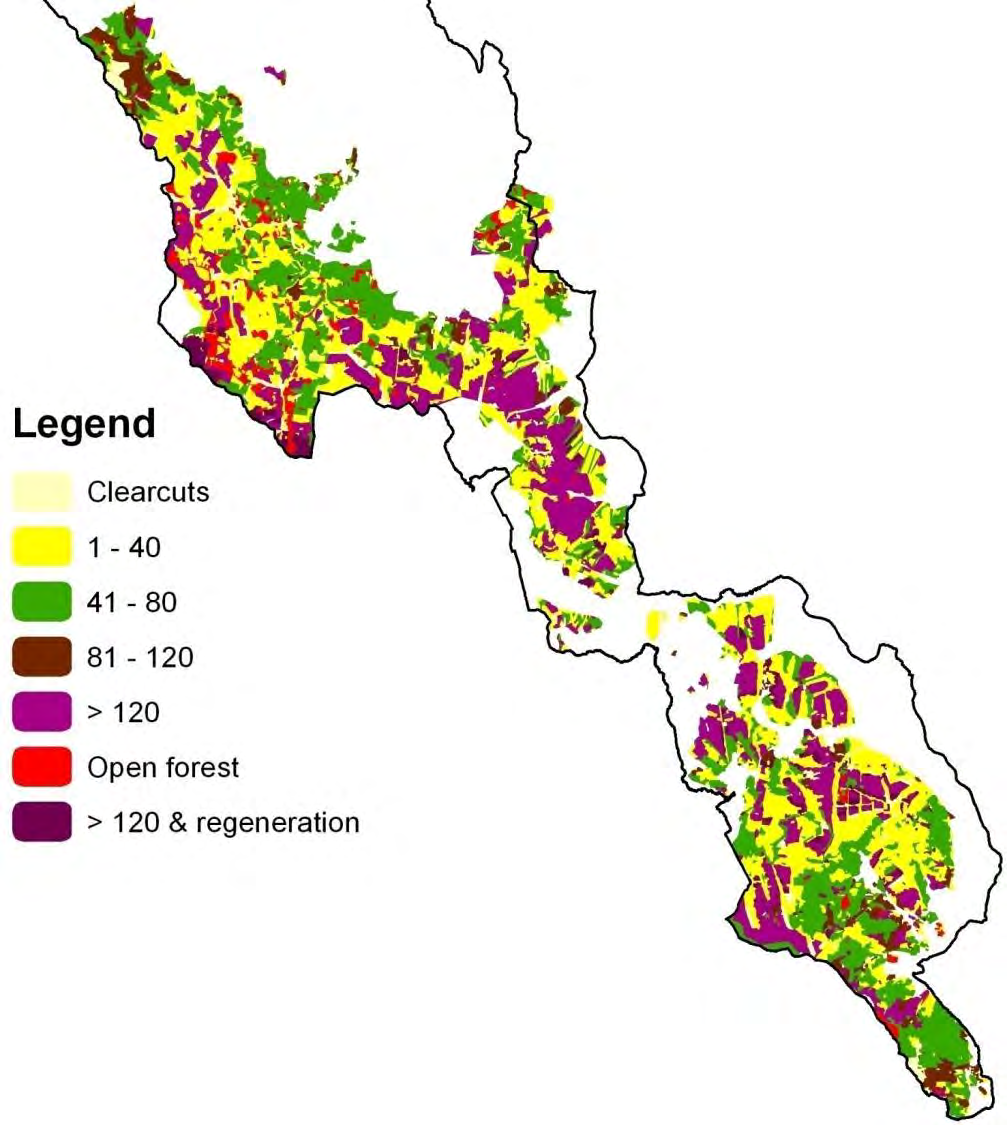 Věková struktura lesa v NP Šumava před disturbancí (vítr a kůrovec) v roce 1863 Analyzovaná plocha 32 550 ha Legenda Holiny 1-40 41-80 81-120 > 120 Řediny > 120