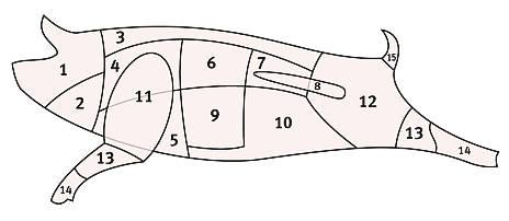 Obr. 6 Rozdělení jatečného upraveného těla prasete (Zdroj: http://recepty.chytrazena.cz/skola-vareni/maso-v-nasi-kuchyni-2-dil-veprove-maso- 4805.