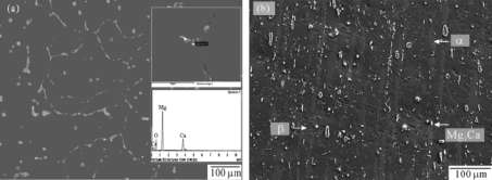 24 Mikrostruktura slitiny Mg-12i-xCa: x = 0 (a), 5 (b), 10 (c) a 15 (d) hm. % Ca.
