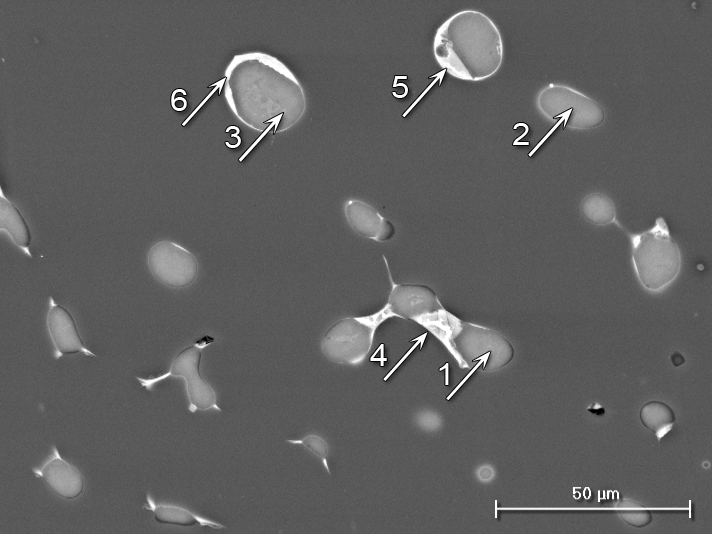 Obr. 4.16 Mikrostruktura slitiny Mg-3Zn-2Ca po TZ: 300 C/24 hod + 450 C/24 hod/voda (vz. B1), SEM, na obr. jsou vyznačena místa chemické analýzy Tab. 4.6 Chemická analýza slitiny Mg-3Zn-2Ca po tepelném zpracování vzorek B1 Analýza Mg Ca Zn Mg Ca Zn hm.