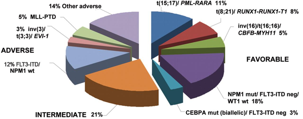 3.4.2. Molekulární markery u AML a jejich prognostický význam Literatura udává 40 až 50 % případů AML s normálním karyotypem určeným klasickou cytogenetickou analýzou (Grimwade a kol.