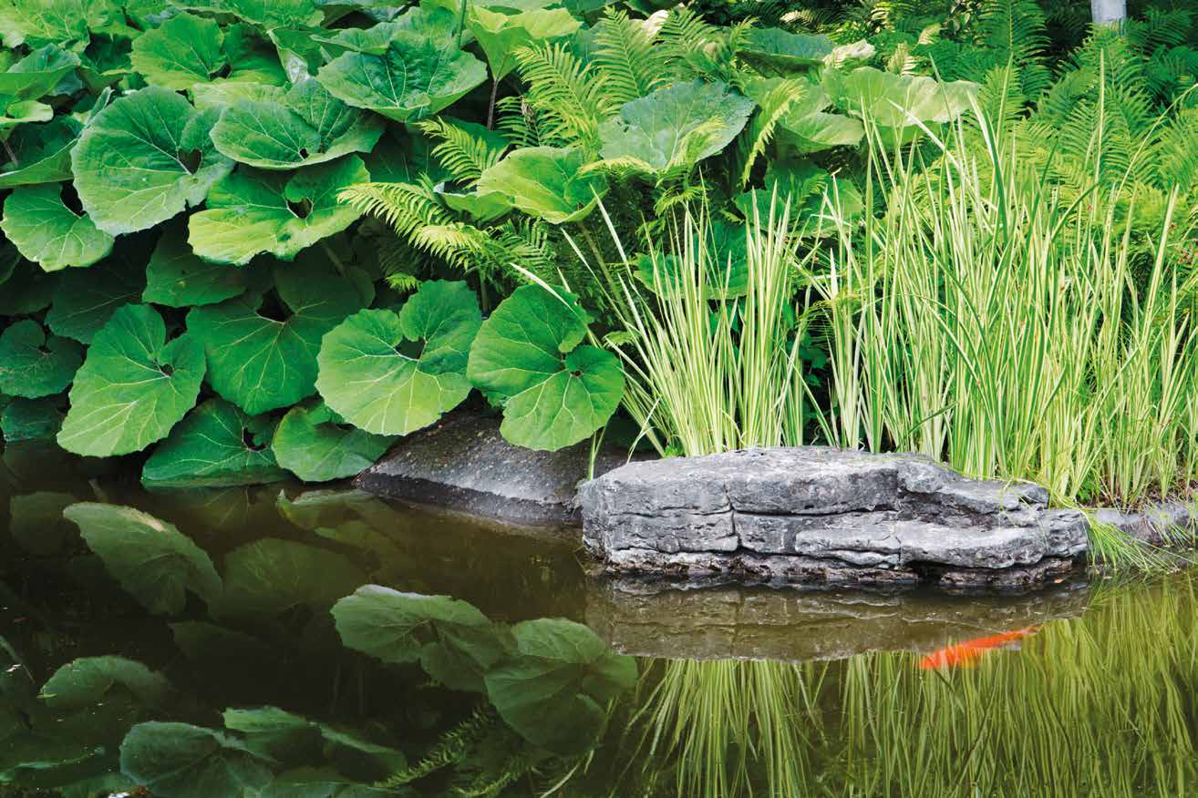 Fascinating V okouzlení WaterGardens vody a zahrady Naše