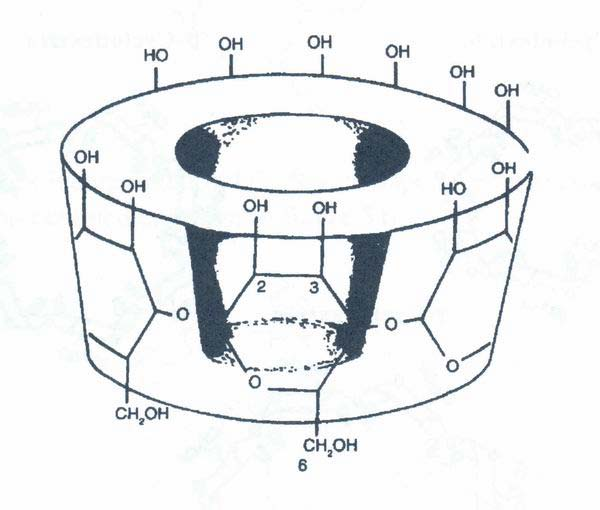 Cyklodextrinové CSP cyklické oligosacharidy vznikající enzymatickou