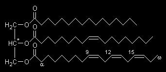 Jednoduché lipidy Triacylglyceroly - estery