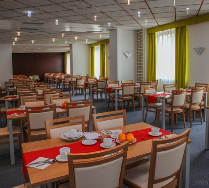 LÁZEŇSKÉ HOTELY Hotel G-REX*** Nejmladší z lázeňských hotelů situovaný v centru města se nachází v těsné blízkosti lázeňské kolonády a náměstí Jiřího z Poděbrad. Hotel nabízí kapacitu 116 lůžek.