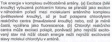 excitované elektrony do centra, 100-5000 anténních molekul na 1 reakční