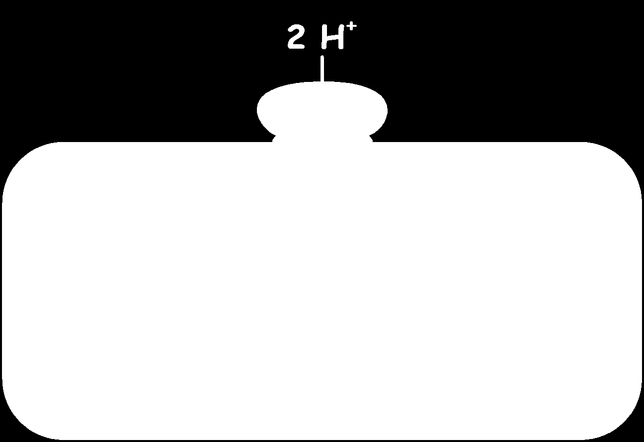 část: Q 2 + 2 Pc(u 2+ ) = Q + 2 Pc (u + ) + 2 + (v thylakoidu) 2.