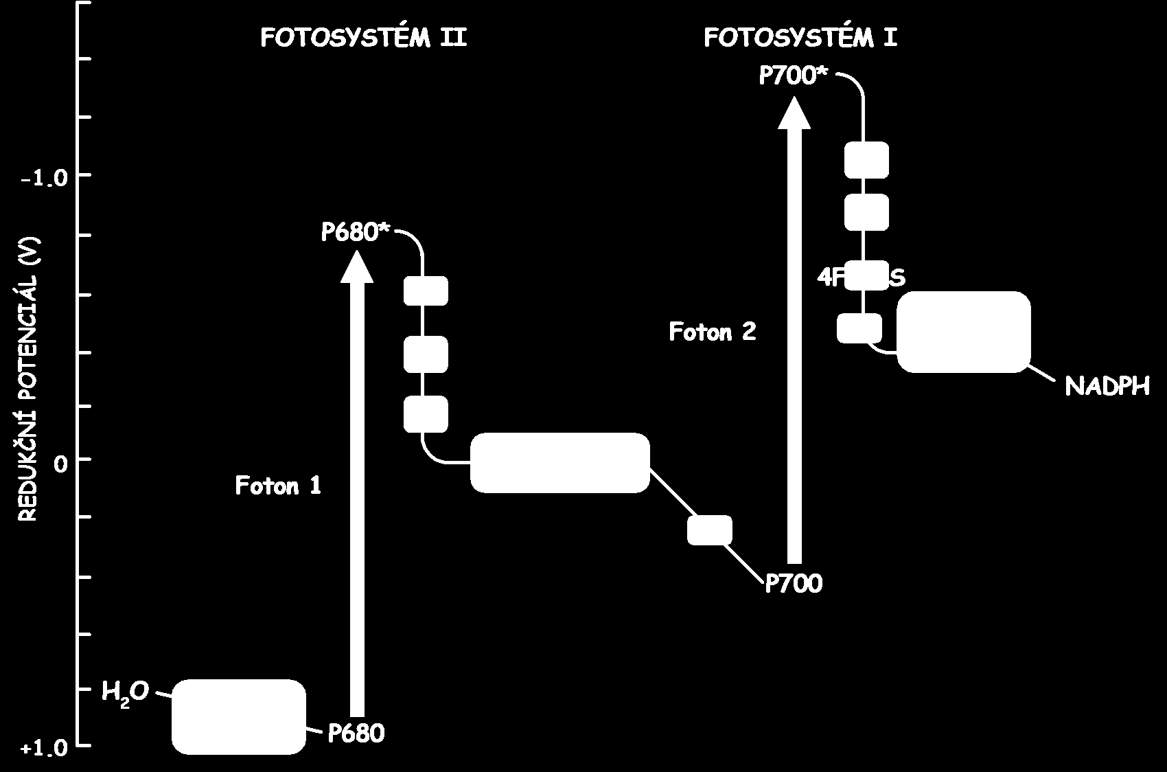 Dráha elektronů z vody