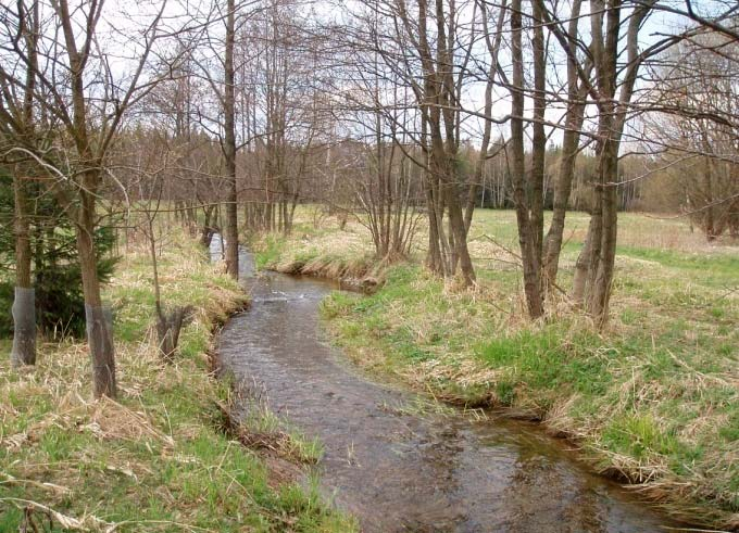 revitalizací: : opevnení poniceno, tendence k meandrování revitalizacní úpravy (1998-1999): 447 m - odstranena na vetšina v opevnení