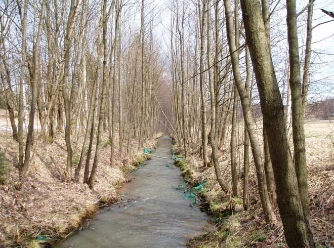 3) Revitalizacní úpravy navržen ené na Barchaneckém m p.