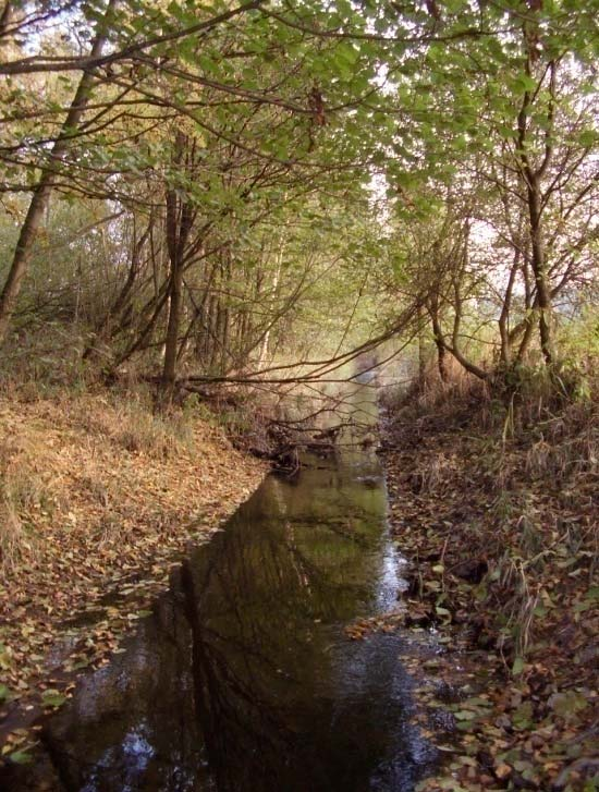 Zájmové povodí a Plán n oblastí povodí Horního a stredn edního Labe podle dokumentu k pripravovanému POP Horního a stredn edního Labe oznaceno jako silne ovlivnený vodní útvar útvar s vysokou