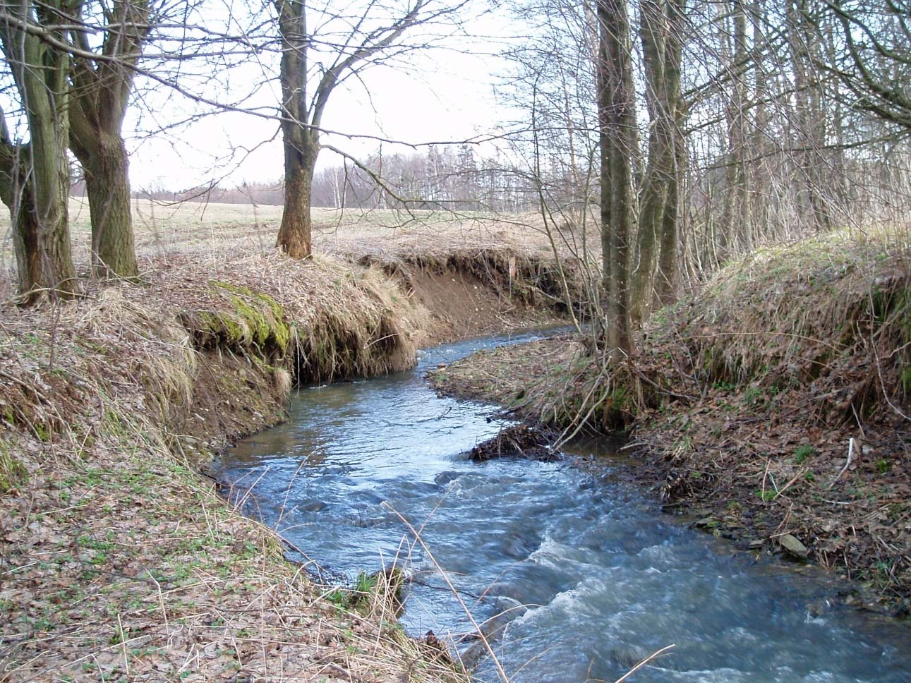 Barchanecký p.