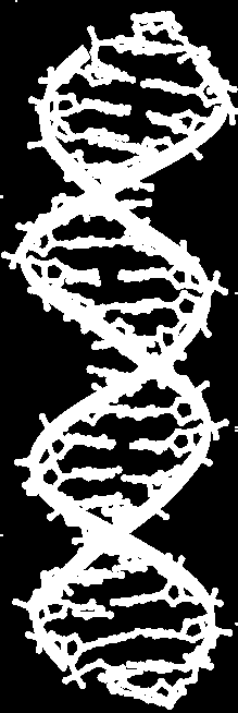 Nukleové kyseliny Replikace DNA