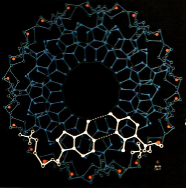 Minimálně dvouvláknová RNA a také hybridní DNA/RNA helix zaujímají A-formu dvoušroubovice,