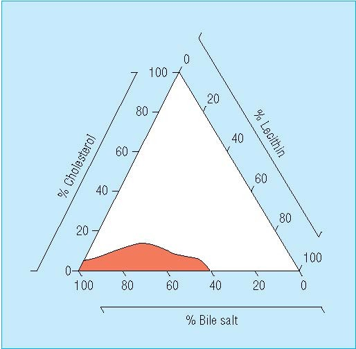 Rozpustnost cholesterolu ve žluči Graf, z něhož lze odvodit poměry, kdy je ještě cholesterol rozpustný Rozpustnost cholesterolu v játrech závisí na vzájemném poměru se žlučovými kyselinami a