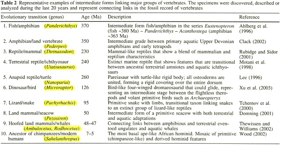 ichthyosaurus Viz také: Grim T. 2000: Paralelní vysvětlení. Proč a jak se ptát "proč" a "jak".