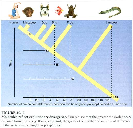 paleontologie: proč?