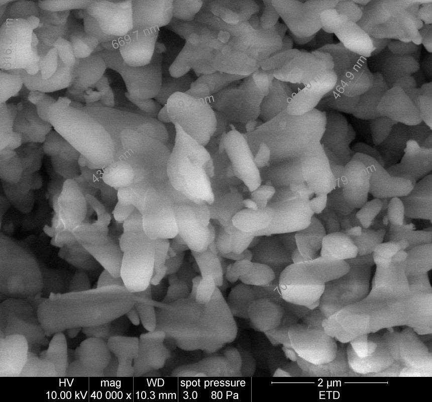 velikosti 400 nm až 1 µm, ovšem v následných shlukách mají velikost 1,4 až 2 µm.