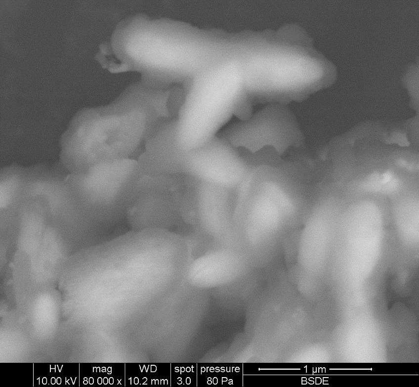 Obrázek 29: LiFePO 4 s polypyrolem 80 000x zvětšeno 6.1.2 Katodový materiál lithium síra (Li S) Z katodových materiálů, které používají konverzní princip chemické reakce, byly zkoumány dva druhy.