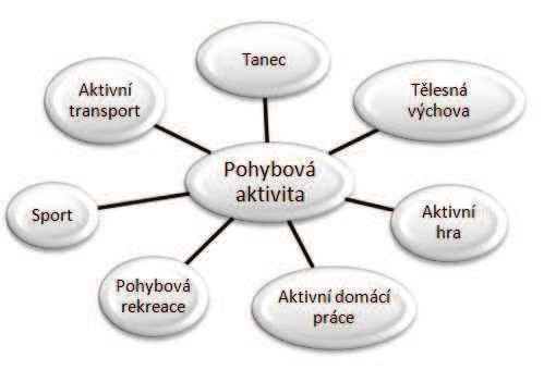 pohybových aktivit vedoucí k tělesné zdatnosti jsou obsaženy v jednotlivých programech podle fyziologických a psychologických znaků.