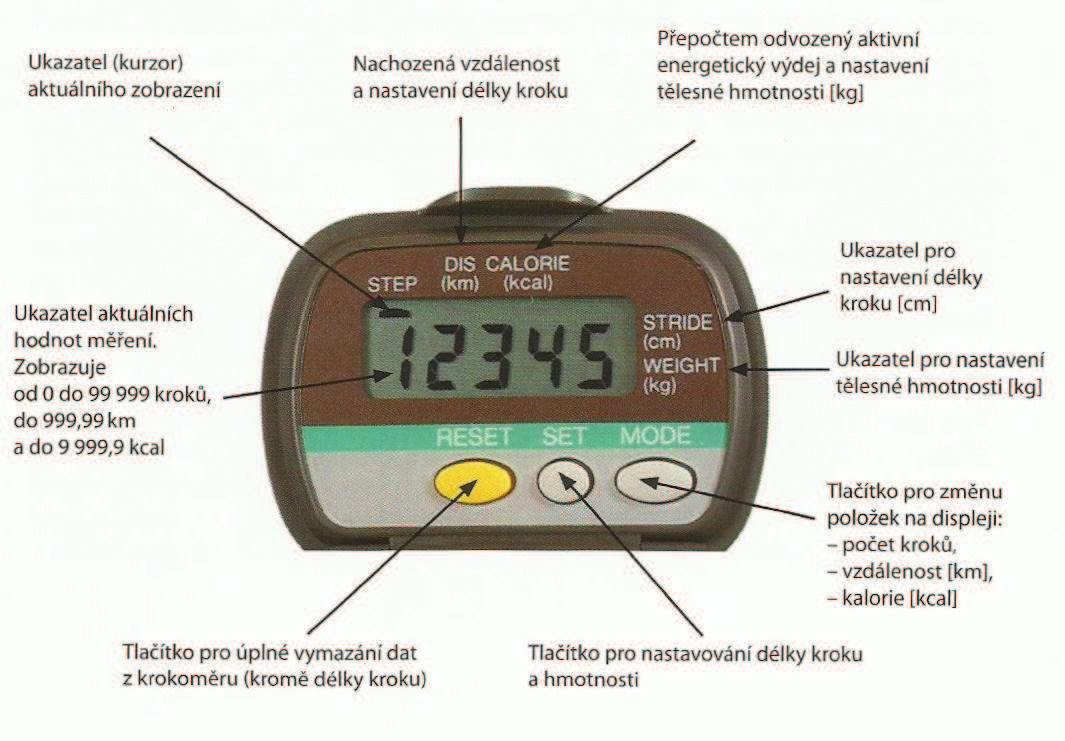 v kilokaloriích a překonanou vzdálenost v metrech. Všechny naměřené údaje má uživatel kdykoli k dispozici, a to díky displeji, který zobrazuje všechny tyto hodnoty (YAMAX, 2013).