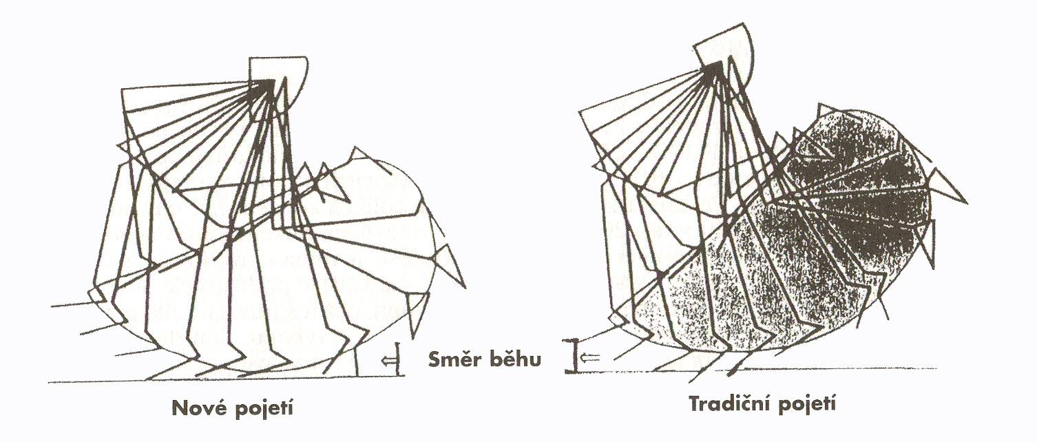 Dráha pohybu chodidla při sprinterském běhu (Joch, 1992)