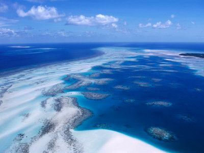 korálové útesy Co je to korálový útes aragonitové struktury biogenního původu dominantní jsou Scleractinia (větevníci); dále