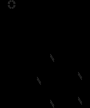 Phytohormones old timers and newcomers Auxin Cytokinin Gibberellin