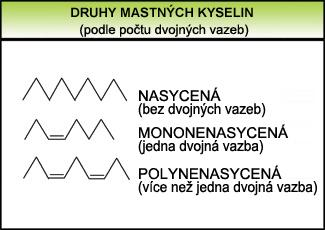 Tuky Heterogenní skupina sloučenin Tuky v potravinách - estery glycerolu