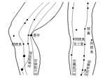 Usporiadanie meridiánov a kolaterálnych ciev v oblasti kolena Nohy sú najdôležitejšou časťou pohybového ústrojenstva človeka, obzvlášť kolená sú kľúčovým prvkom mechaniky pohybu.