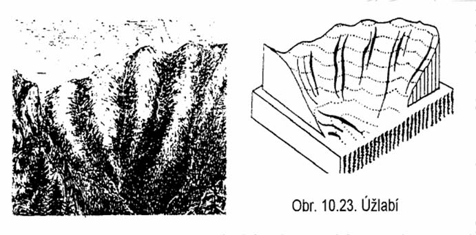 Vypuklé tvary na úbočích terénní stupeň příkrý ostře ohraničený sráz na úbočí mírnějšího sklonu probíhá buď vodorovně nebo šikmo tvarovými čárami jsou hrany, na kterých se prudce mění sklon
