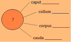 1 2 3 4 5 4) Vyškrtněte na každém řádku dva termíny,