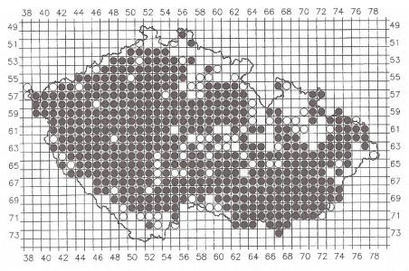 200 000 ks, myxomatóza snižování početnosti, koncem 20.