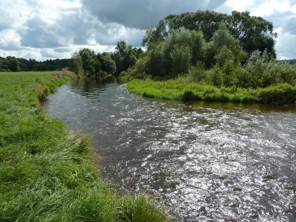 fragment vlhkých tuţebníkových lad. Jedná se ovšem o silně degradovaný porost.