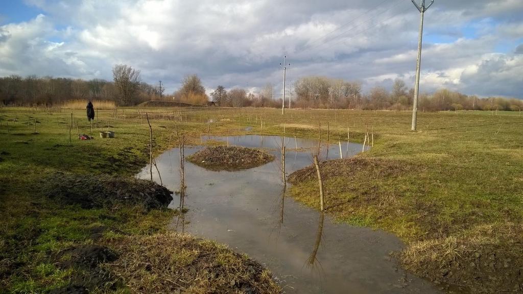 Příklad 1- Revitalizace soutoku Vřesůvky a Malého potoka v