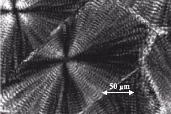 Semikrystalické uspořádání: Úplné krystalizace (monokrystalu) v reálných podmínkách zpracování polymerů nedocílíme. Aby polymer krystalizoval je nutná strukturní a chemická pravidelnost makromolekuly.