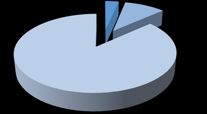 Muži s NOCT portem 0% Muži s CT portem 0% Muži s flexilou 87% Muži s CT PICC 3% Muži s CŽK 10% Muži s NOCT portem Muži s CT portem Muži s CT PICC Muži s CŽK Muži s flexilou Obrázek 8 Znázornění