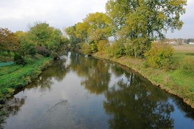 Břehový porost střed