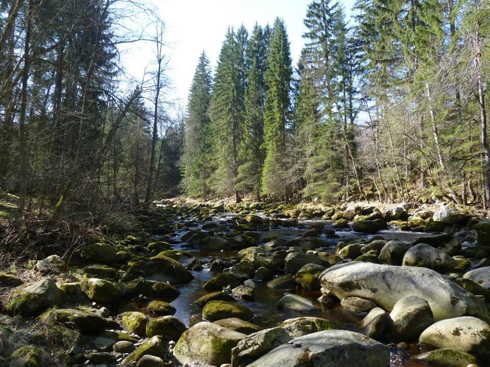 Luhy a řehové porosty o tá s rči Kře el á a Šu avě í h poloh v pás