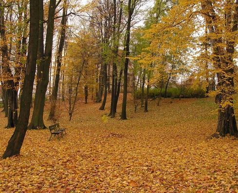 Obr. 11 Zámecký park Orlová