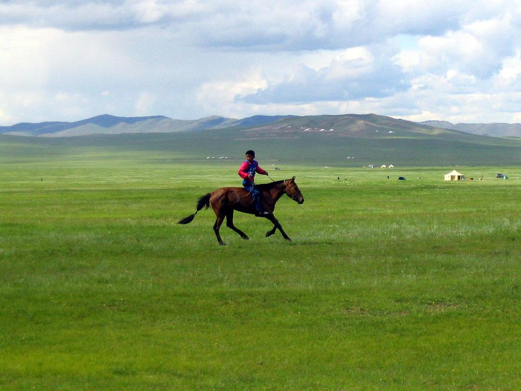 https://upload.wikimedia.org/wikipedia/commons/1/17/ Naadam_rider_2.