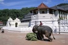 Dambulla, Sigiriya - lví skála, zahrada koření v Matale, chrám sv.