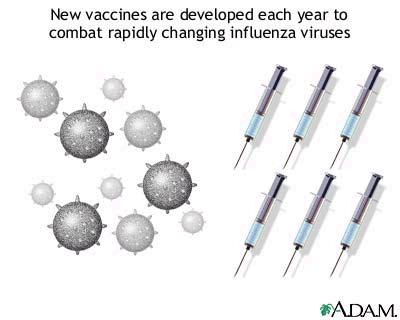 Přehled chřipkových vakcín Inaktivovaná celovirionová štěpená subjednotková subjednotková adjuvantní licence v EU