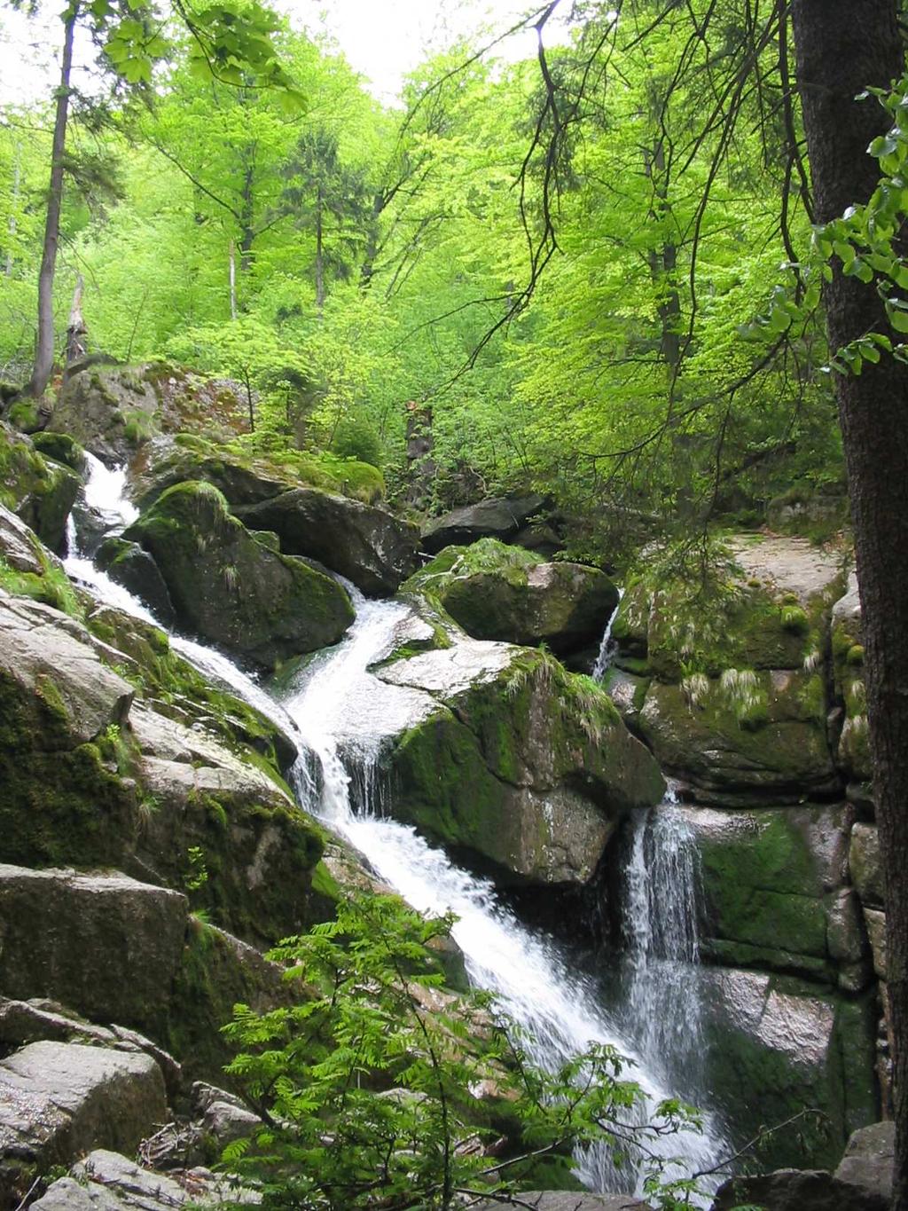 údolí Černého potoka, Velkého a Malého Štolpichu) - mnohde s vodopády a kaskádami na jižní stranu spadají hory stupňovitě a pozvolněji,